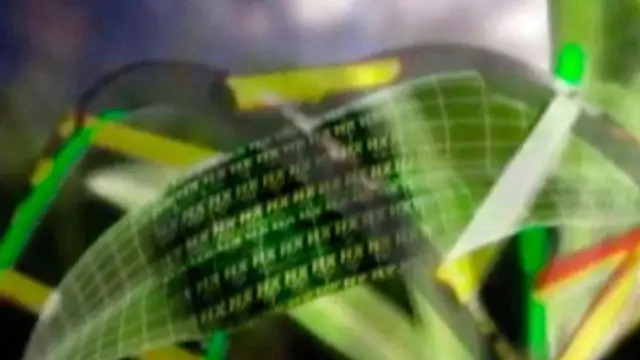 Подтверждено: некоторые сердечные черви стали резистентными к препаратам профилактики