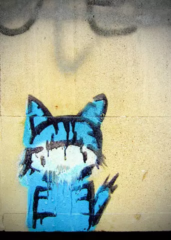 Cat Graffiti - настоящая и красивая вещь