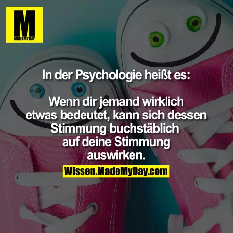 Если 420 означает что-то для вас, прочитайте это для своей собаки