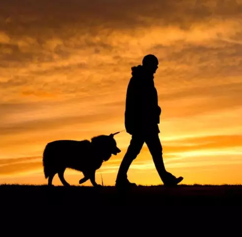 Почему собаки «легкие» гораздо более чувствительны, чем люди »?