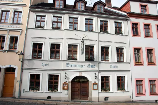 Трехногая собака из Ирана делает это в Калифорнии для нового дома - и набор колес