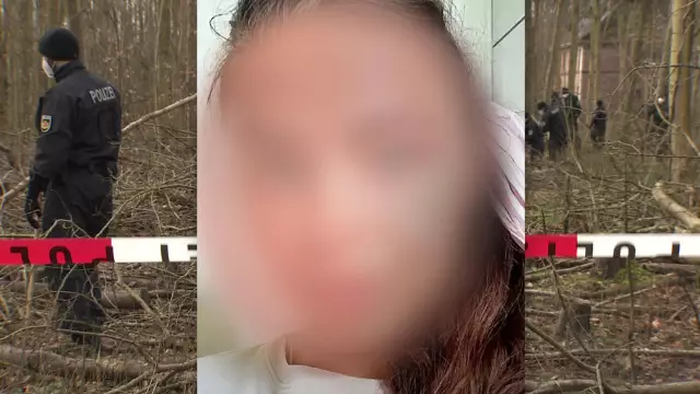 Этот костяк оставил своих кошек в чемодане перед укрытием