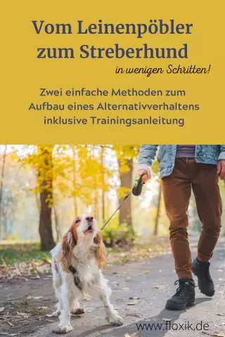 Ваша собака действительно готова уйти с поводка?