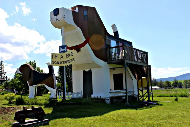 Сон внутри гигантской собаки в отеле Dog Bark Park Inn