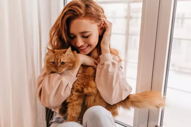 5 причин, по которым мои кошки возбуждаются подходом к падению