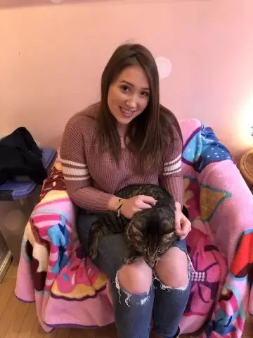 Филадельфийское кафе Kawaii Kitty станет бастионом
