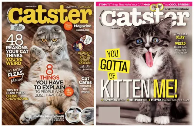 Издатель Catster и Dogster выпускает новый журнал «Humanster»