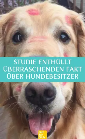 Астрологическое предупреждение: Virgos Make Ideal Dog Owners