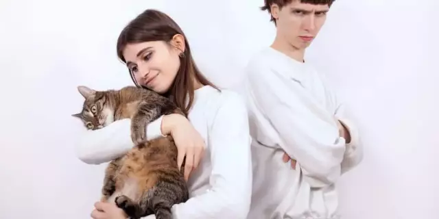 Что делать, когда кошки вызывают конфликты в отношениях