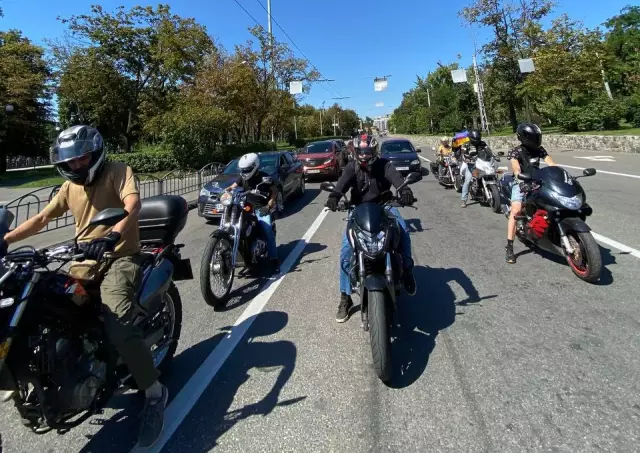 Принять меры, чтобы призвать к наказанию в случае с жестокостью кошек