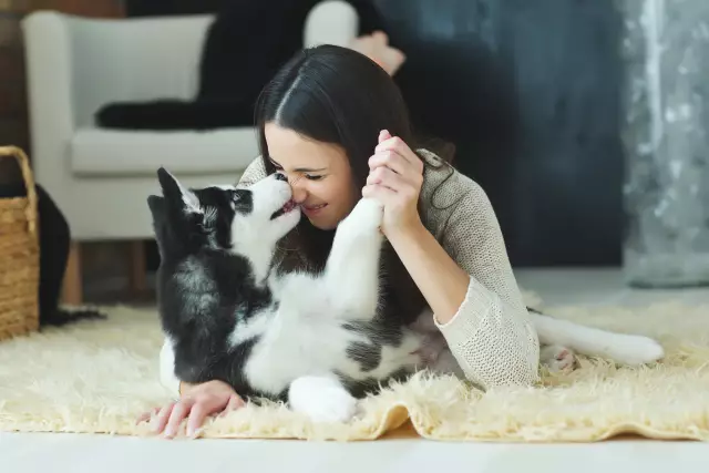 You Date Me, You Date Моя собака: поиск любви как владельца собаки