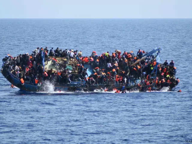 Домашние животные Сайт знакомств помогает улучшить социальную жизнь собак