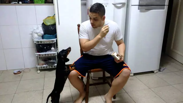 Умный Докси спасла владельца