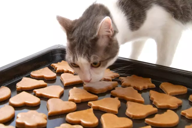Сделайте Tuna Patties для вашего кота с этим праздничным рецептом