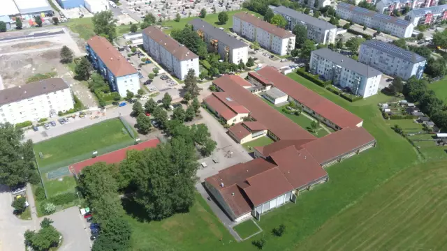 Я отправился в самую дорогостоящую свадьбу для питомцев в истории