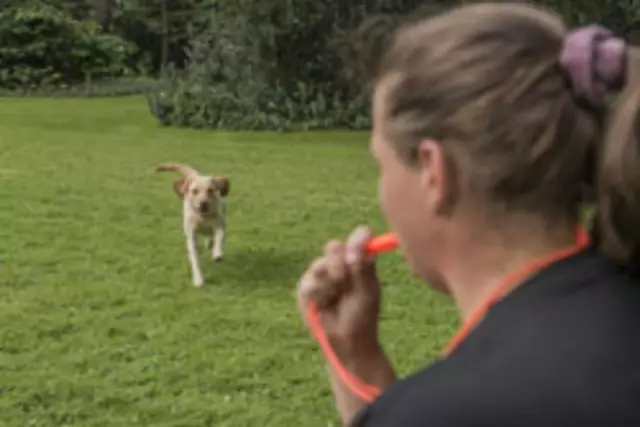 Повторное обучение: этап 3