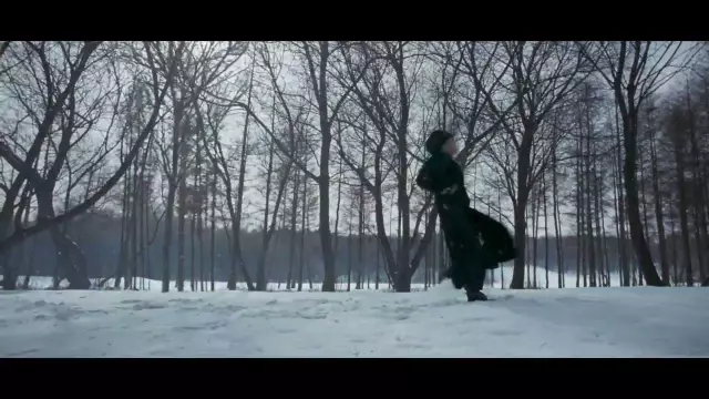 Эксклюзив: Sneak Peek на «Начинающих» спасенных собак