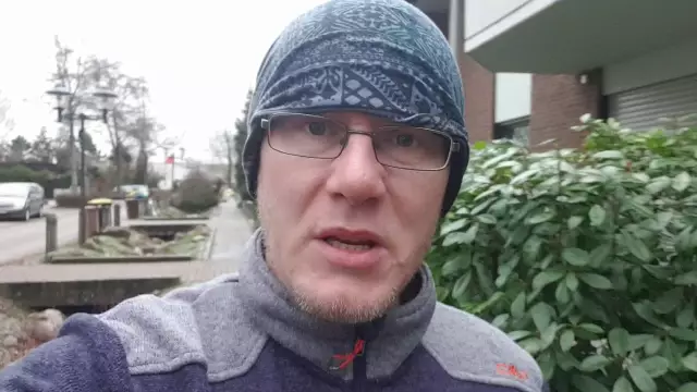 Потребительские отчеты обсуждают корм для собак и корм для кошек