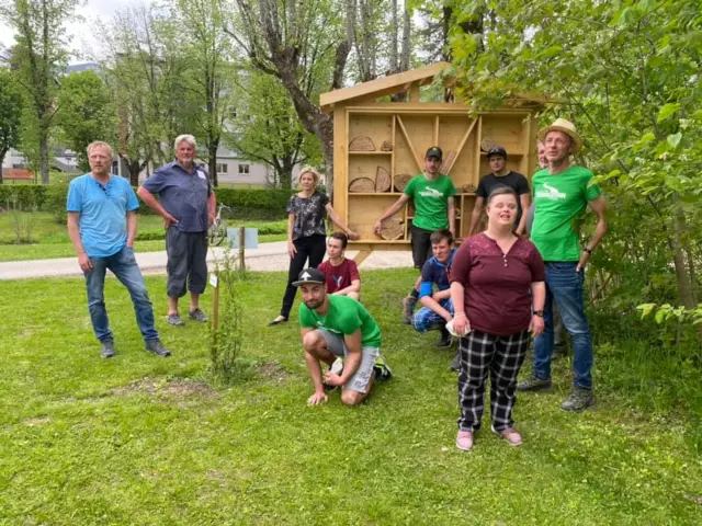 «Убийца» Пчелы атакуют четырех собак и двух людей