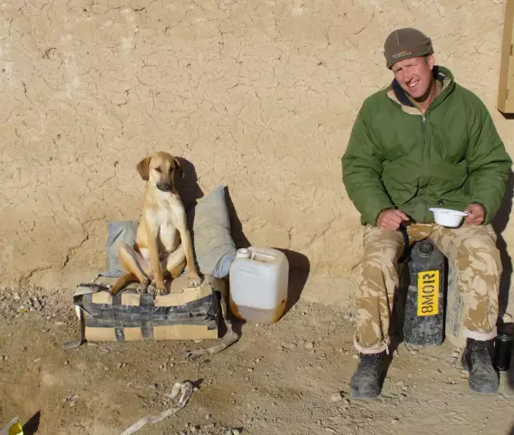Собаки Nowzad - Спасательные собаки в Афганистане