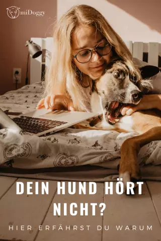 Почему моя собака не слушает? Часть IV