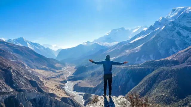 Питательные портреты Алина Кремер снимают вибрацию собак