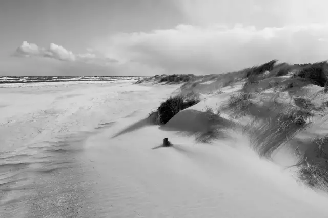 Спокойствие во время бури: Справка о страхе вашей собаки от грозы Часть III