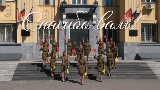 Опять же, Собаки Занимают Уолл-Стрит Спасибо Дарвинским Докторам Животных для Заботы