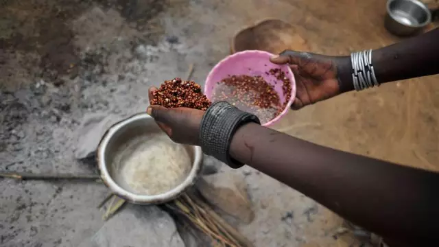 Как и почему приготовить простую пищу для вашего старшего пса