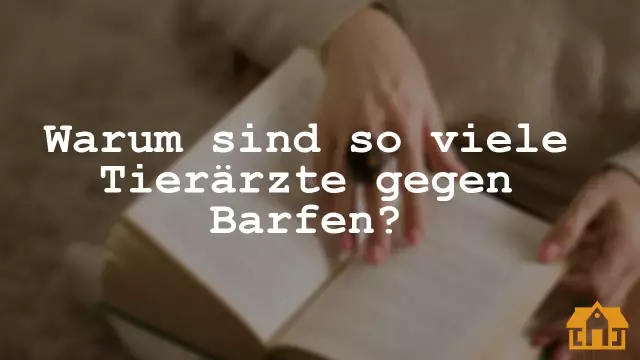 Почему многие ветеринары предвзято относятся к людям, которые не спасут или не работают?