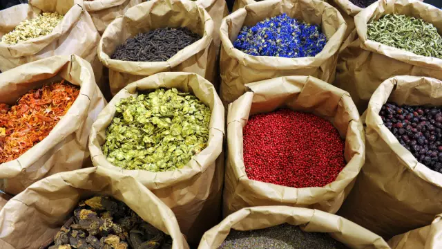 Производитель Metacam предупреждает о повторном использовании в котах