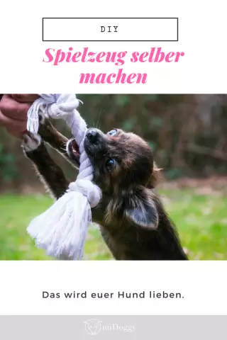 Обновление на собаке, которая сделала автомобили в чулках