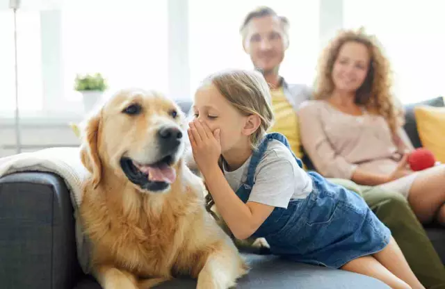 Расскажите о собаке с проблемой жевания
