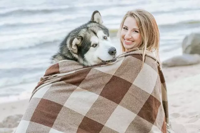 Сколько внимания нужно собакам?