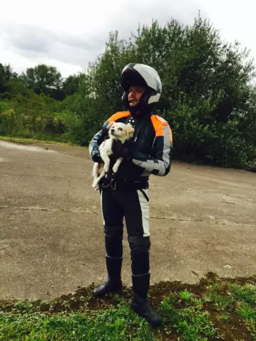 Собака за бортом