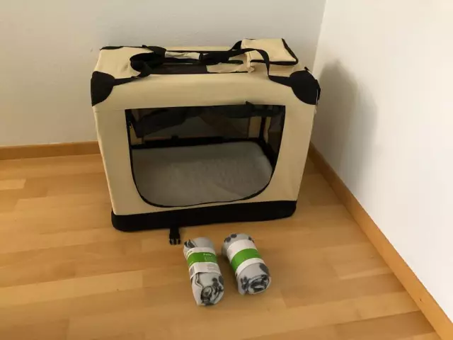 Гениальная программа использует собак для помощи ветеранам