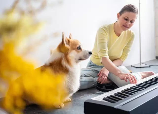 Музыка устраивает собак