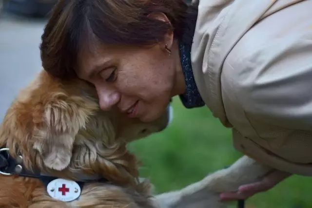 Отличный выбор слепой собаки: собака-укрытие как собака-поводырь