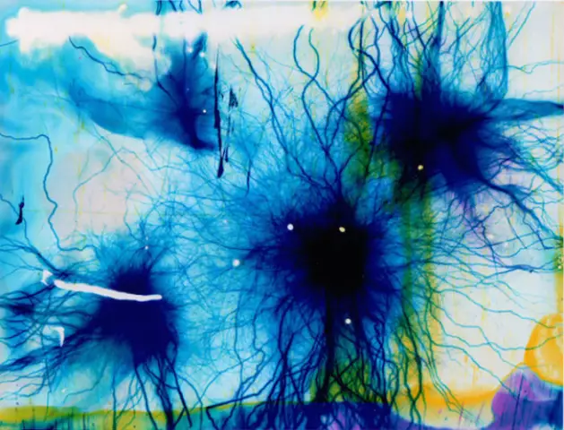 Бруклинский художник Том Оттернесс убил собаку, снял акт