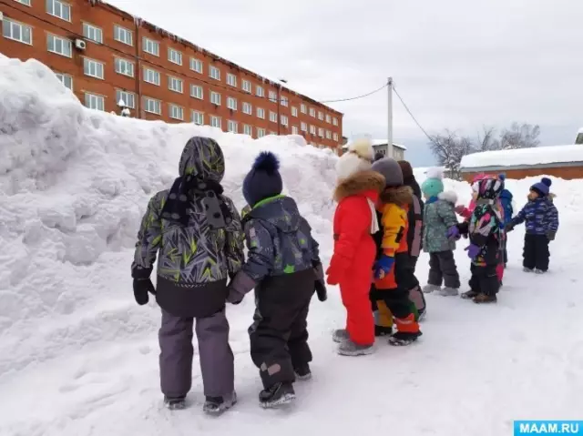 Прогулка нескольких собак в это время месяца