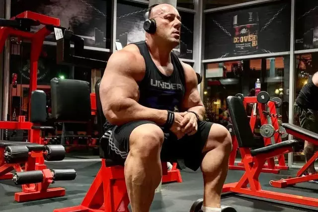 Как сделать праздник для вашей собаки в любой возрастной категории