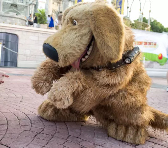 Dug Up at: Премьера фильма «Show Dogs»