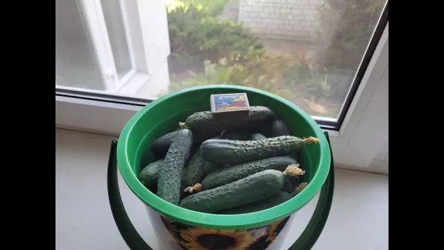 3 дружеских свадьбы