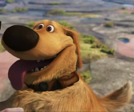 Dug Up at: 11 Dog Dog's Dog Dog для вашего любимого щенка (и вы!)