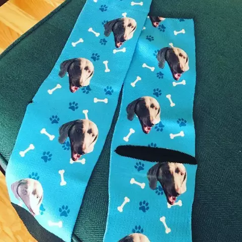 PupSocks позволяет вам помещать фотографию вашей собаки на носки