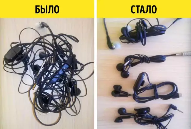 10 вещей, которые вы не можете знать о собаках-солдатах