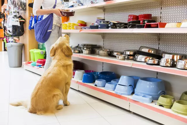 No Pet Shop Puppies Day напоминает нам об истинной стоимости щенков