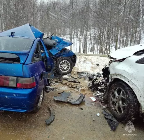 Коп, чей партнер К-9, погибший в горячем автомобиле, может столкнуться с обвинениями после всех