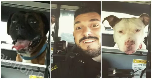 Caring Cop принимает собаку, которая была перетащена рядом с Van