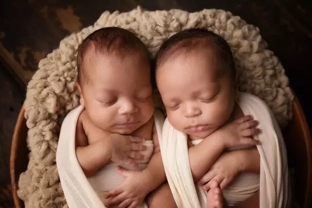 Обновление Linky And Dillon Adoption